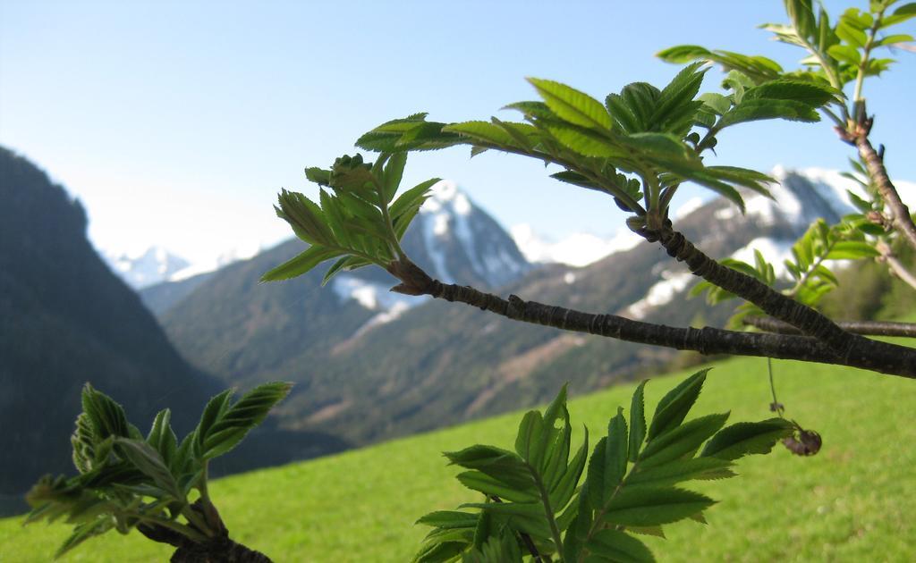 Pension Steiermark ชลัดมิง ภายนอก รูปภาพ