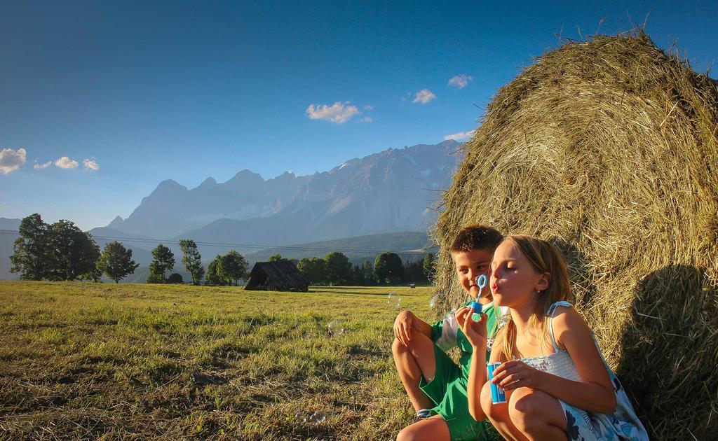 Pension Steiermark ชลัดมิง ภายนอก รูปภาพ